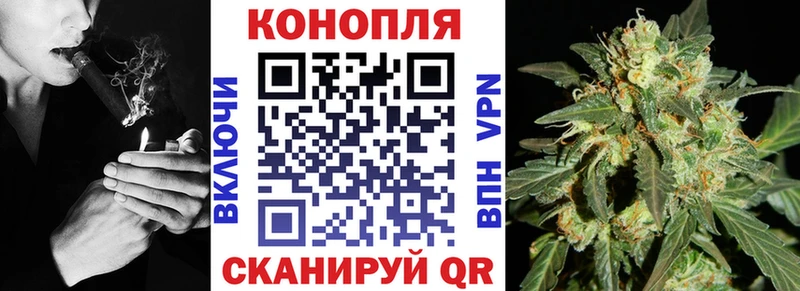 Бошки марихуана план  купить  цена  Набережные Челны 